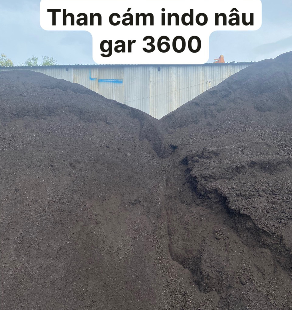 Thực trạng cung cấp than đá cho các nhà máy điện nhiệt Việt Nam 